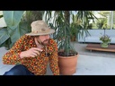 youtube - [Video]