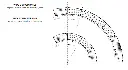 Knipsel.webp