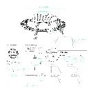Dimensions - alle producten - 28-04-2026-17.webp