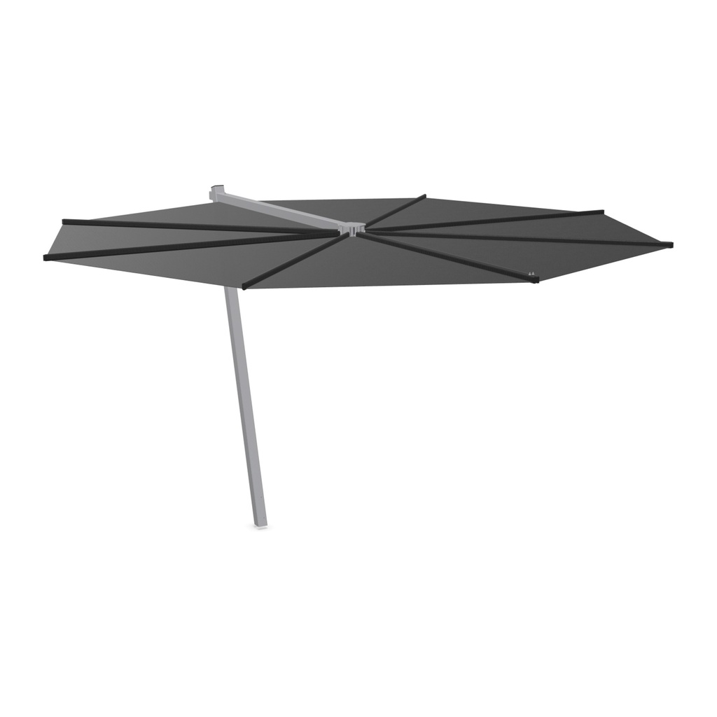 Kosmos shade