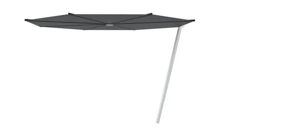 Kosmos shade